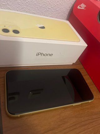 iPhone 11 Giallo