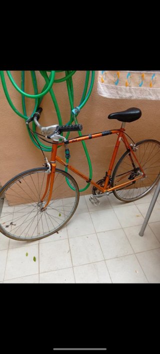 Bicicleta Clásica BH Naranja