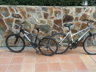 2 Bicicletas Montaña Explorer y Decathlon