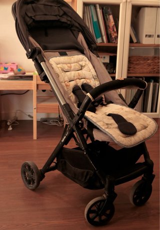 Carro Inglesina Quid2 Ligero
