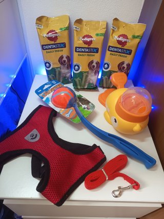 Lote Accesorios Perro: SNACK,PELOTA,ARNES,CORREA