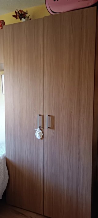 Armario de madera con 2 puertas
