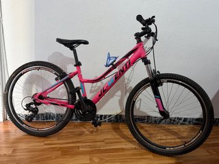 Bicicleta de Montaña J-L-Wenti Rosa