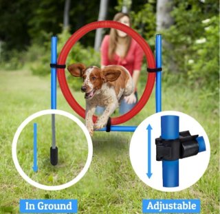 NUEVO CONJUNTO DE AGILIDAD PARA PERROS