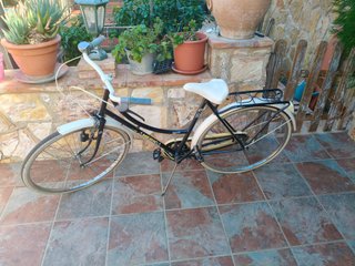 Bicicleta urbana vintage de paseo America