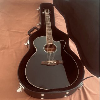 Guitarra Acústica Ibanez AEG10II-BK Negra