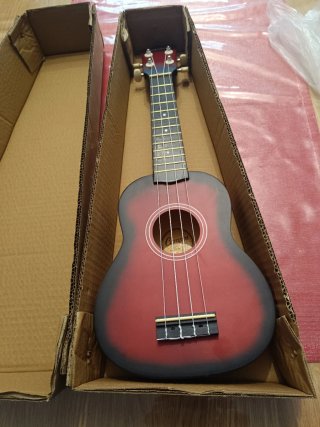 Ukulele rosso e nero