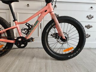 Bicicleta Infantil Cannondale trail plus 20