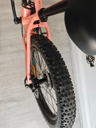 Bicicleta Infantil Cannondale trail plus 20