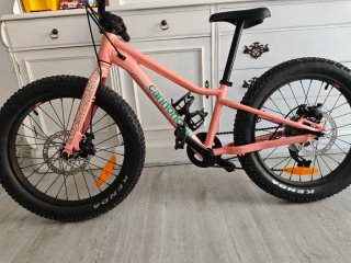 Bicicleta Infantil Cannondale trail plus 20