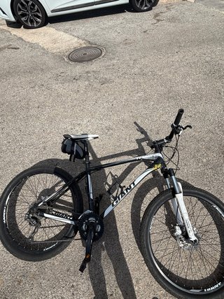 Bicicleta de Montaña Giant