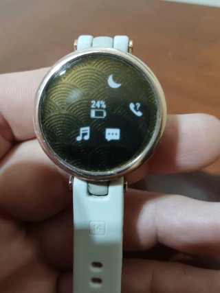 Garmin Lily Sport - Oro y Blanco