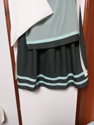 Traje de casera tradicional75largo