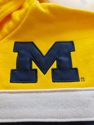 Sudadera Michigan Mitchell & Ness