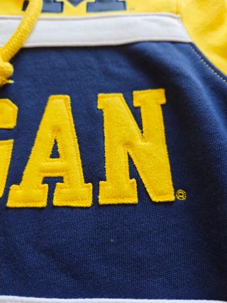 Sudadera Michigan Mitchell & Ness