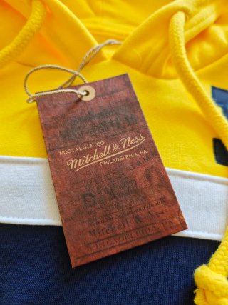 Sudadera Michigan Mitchell & Ness