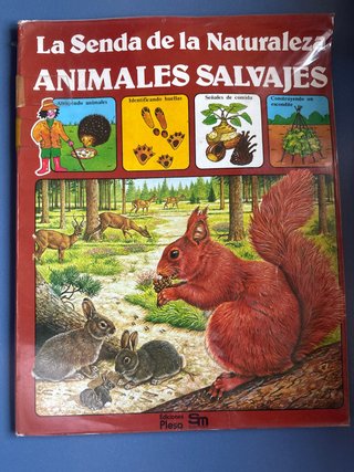 Libro infantil