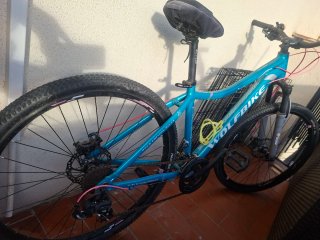 Bicicleta de Mujer