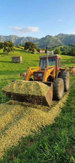 Tractor Fiatagri 100-90