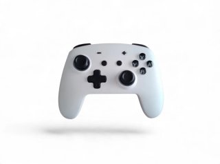 Mando Nintendo Switch Pro