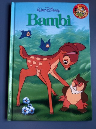 Libro infantil