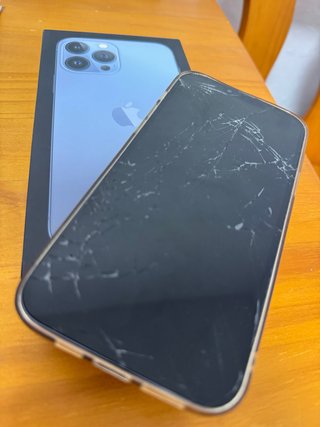 iPhone 13 Pro Max 256GB (Leer descripción)