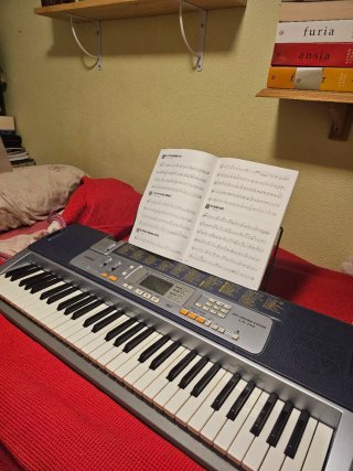 Teclado Casio LK-110