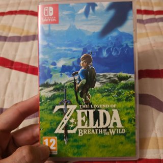 Zelda Breath of the Wild Switch
