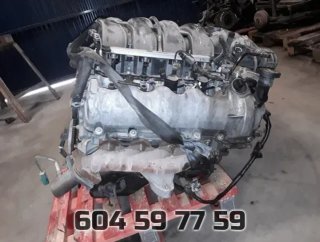 Motor completo Ford MUSTANG 5.0 TI-VCT V8 CAT ·