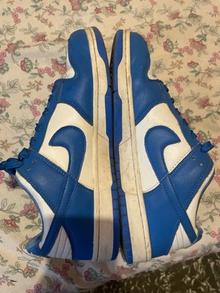 Nike Dunk Azul y Blanco