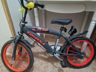Bicicleta Infantil TOIMSA X-SP