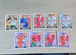 Panini Extra Stickers