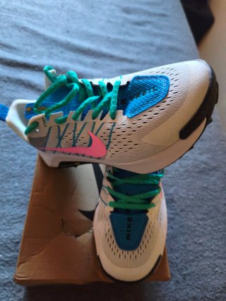 Zapatillas Nike Wild Horse 10