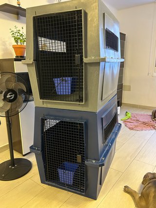 Transportines grandes Rígidos para Perros
