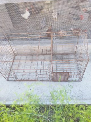 Jaula grande para pájaros o gallinas