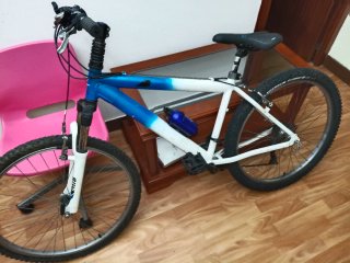 Bicicleta de Montaña Azul y Blanca