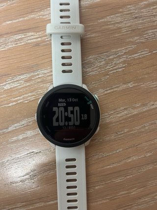Garmin Forerunner 55 GPS Running Watch