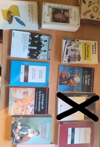Libros de lectura variados.