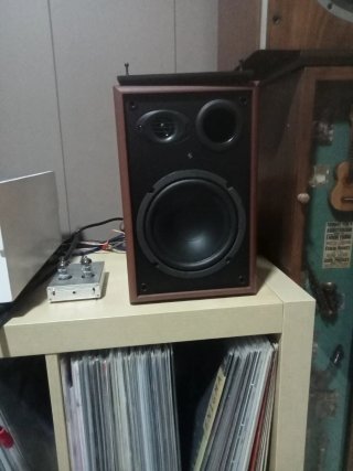 Altavoces Activos Marrones y Negros
