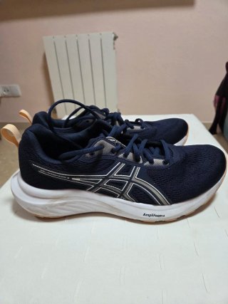 Zapatillas Asics Gel-Windhawk 5