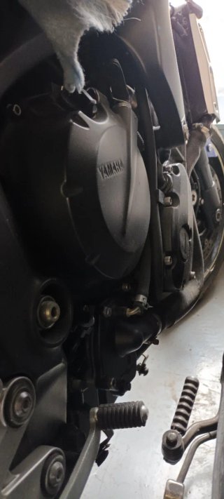 Motor Yamaha FZ6 S2