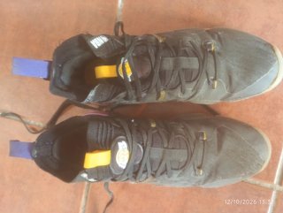 Zapatillas Baloncesto NBA Negras y Moradas