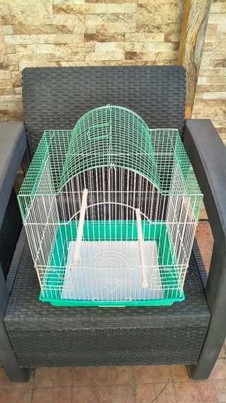 Jaula para pájaros verde y blanca