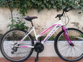 Bicicleta TEAM 26