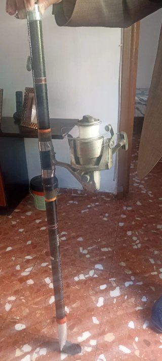 Caña de Pescar con Carrete