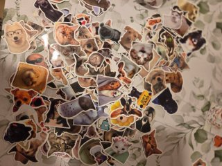 Adesivi e stickers di cani e gatti