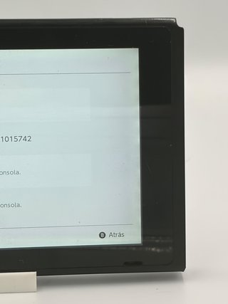 Schermo Nintendo Switch