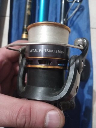 Caña Daiwa 1 tramo, (no se desmonta) con Carrete