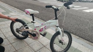 Bicicleta infantil DTB Fun 160