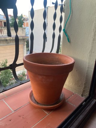 Maceta de Terracota con Plato 30cm